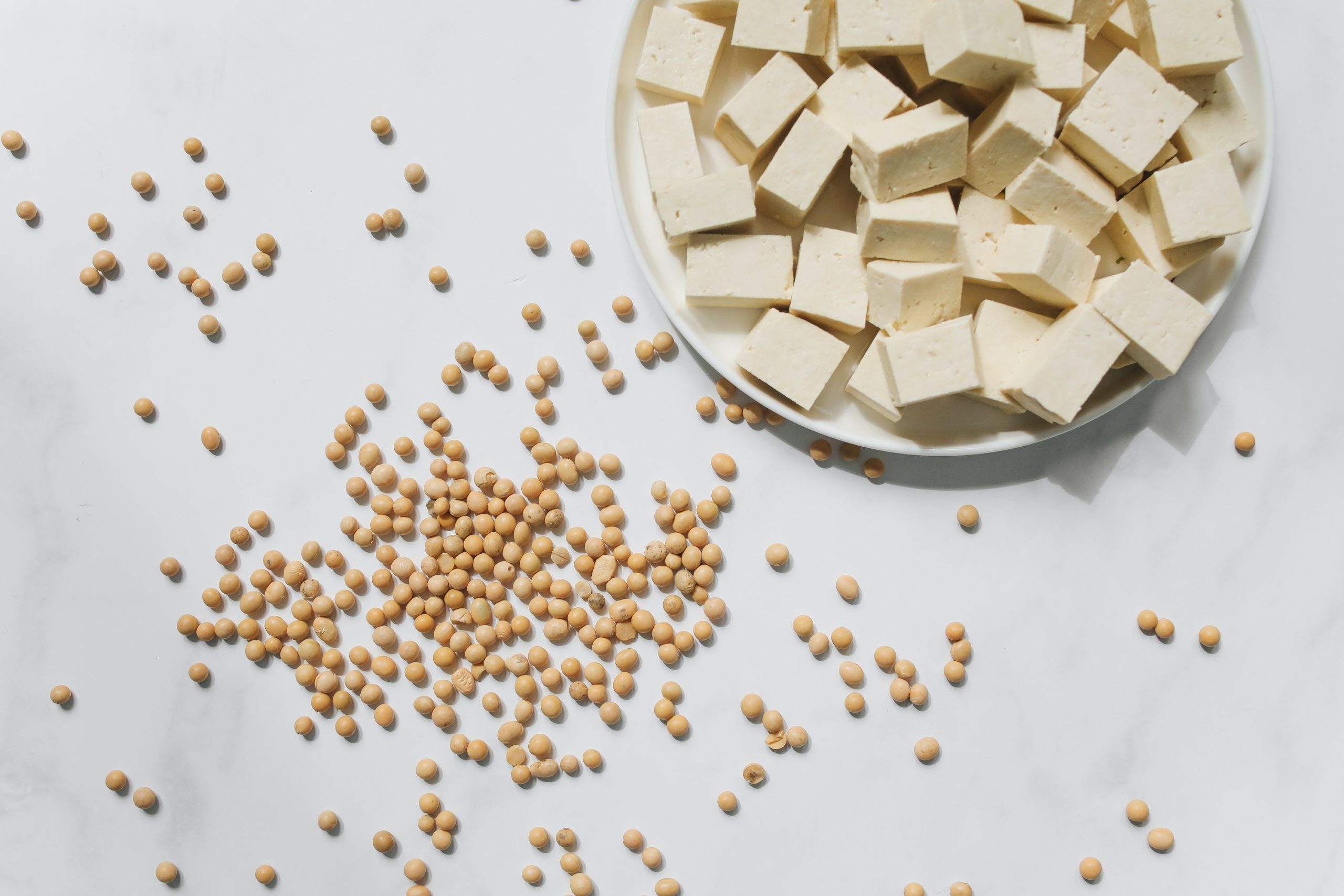 soybeans and tofu on white ceramic plate