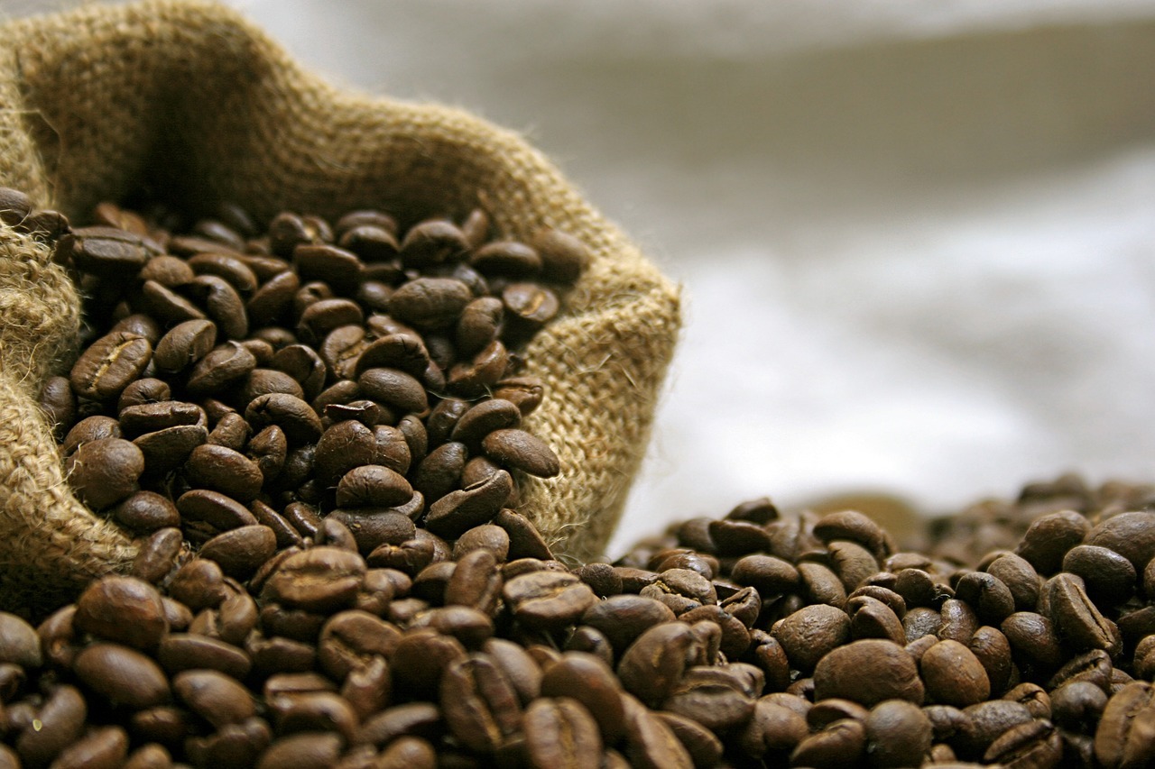 coffee grain caffeine organic
