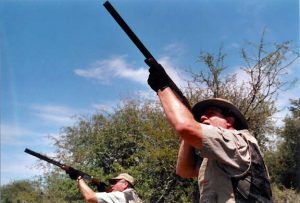 Best Dove Hunting Tips