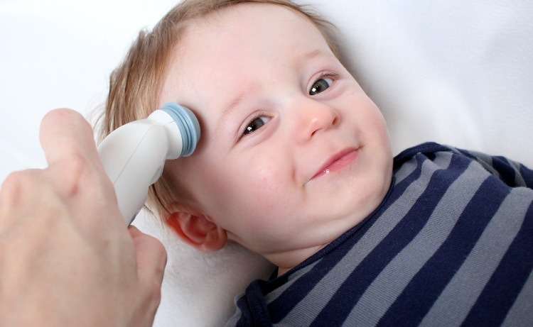 Best Forehead Thermometer Reviews