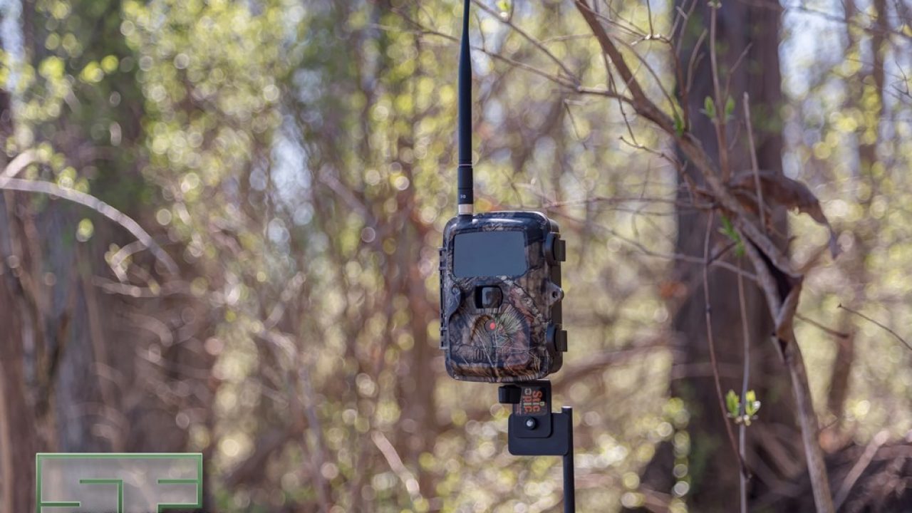 Wireless trail cameras