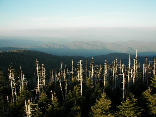 Take a Hike at Clingmans Dome