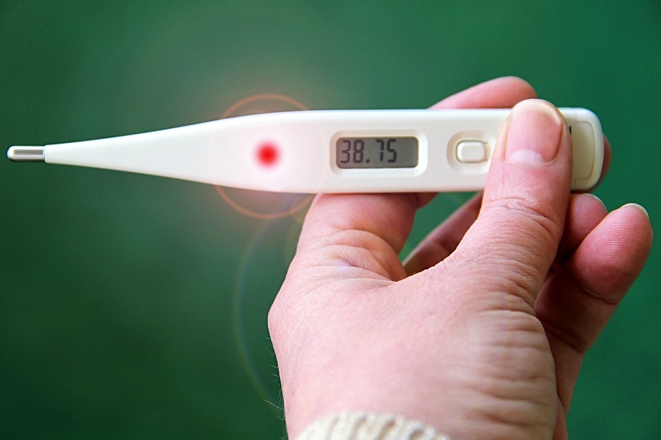 person holding a digital thermometer