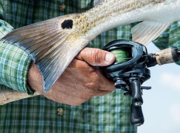 Factors to Consider Before Selecting a Bait Caster Reel