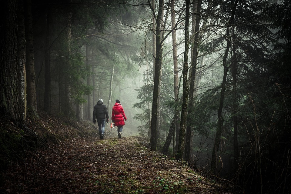 a couple walking through the forest