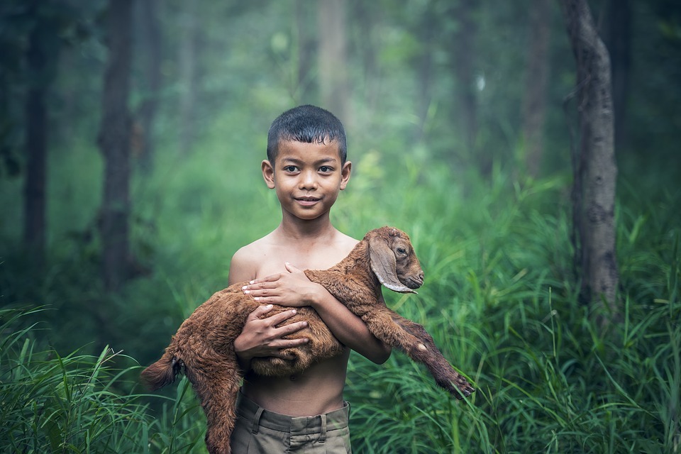 a kid carrying a brown baby goat