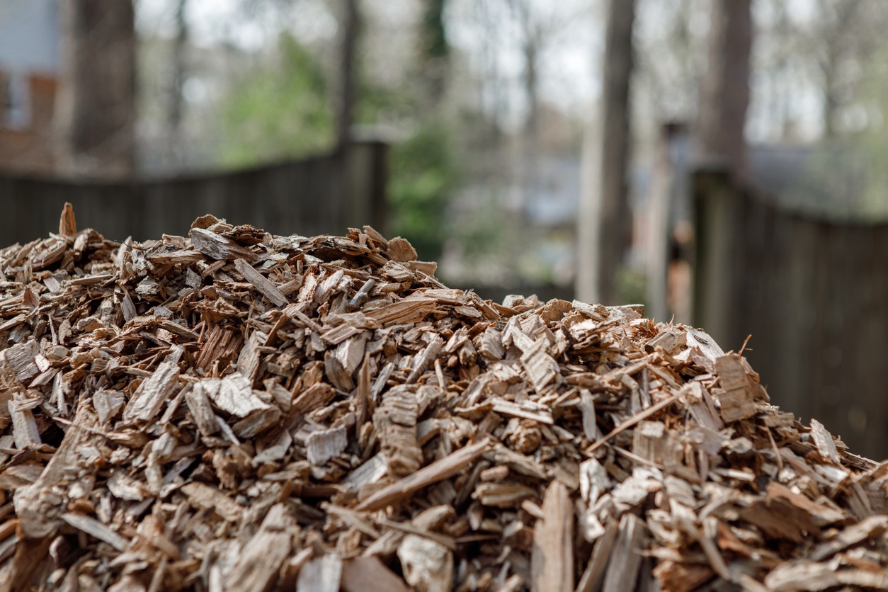 Pile of woodchips in backyard