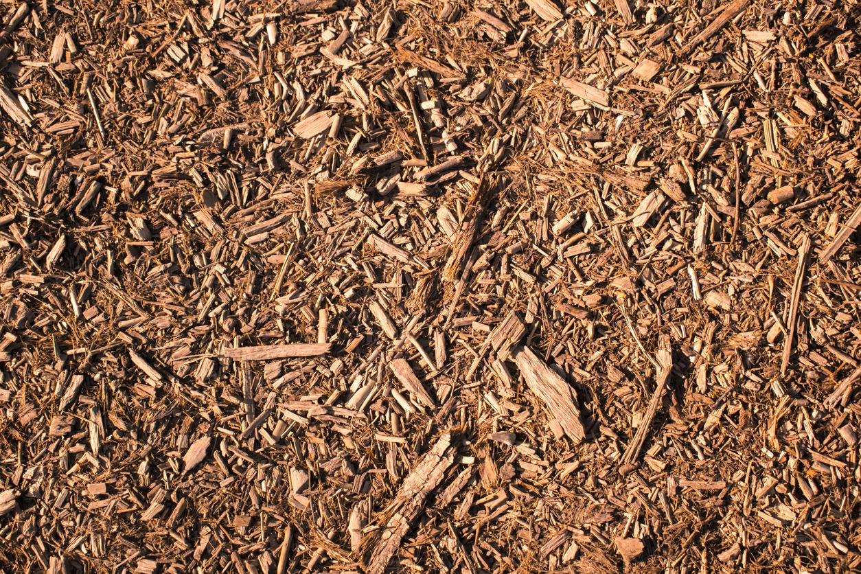 Pile of wood chips 